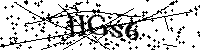 Prosím opište níže uvedené znaky